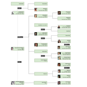 Alia Bhatt Family Tree Alia Bhatt Family Tree