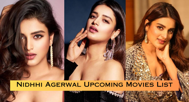 Nidhhi Agerwal Movies and TV Shows List